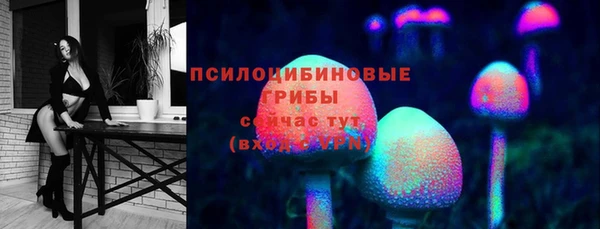 марки lsd Богданович