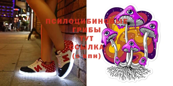 гашишное масло Богородицк