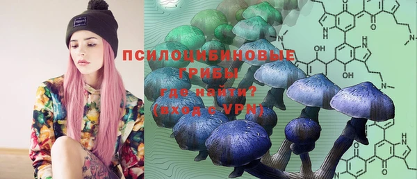 apvp Богородск
