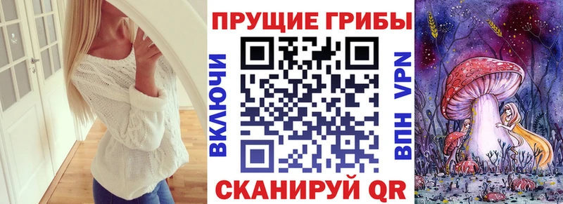Псилоцибиновые грибы Cubensis MEGA рабочий сайт Гремячинск